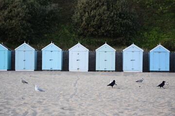 Bournemouth beach