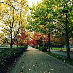 Vancouver | Autumn in the park