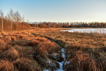 the first ice on the sun at sunset
