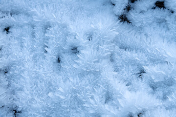 Close-up view of dry grass in severe frost covered with ice crystals that look like snowflakes at sunset in forest. Beautiful nature background. Winter weather forecast theme. Selective focus.