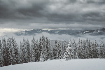 Panoramic view of the snow-capped mountains.