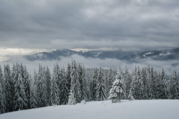 Panoramic view of the snow-capped mountains.