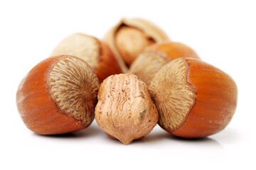 Hazelnut on white background