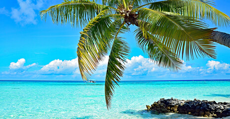 Fototapeta na wymiar Malediven - Paradies im Indischen Ozean mit puderzuckerweißen Stränden und türkis-blauem Meer, Trauminseln 