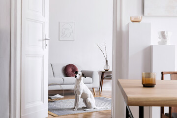 Stylish scandinavian interior of living room with design wooden table, chairs, grey sofa, decoration, personal accessories and beautiful dog in elegant home decor. © FollowTheFlow