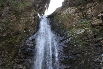 Obraz premium 龍王の滝