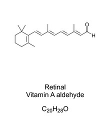 Retinal, Vitamin A aldehyde, chemical formula and skeletal structure. Also known as retinaldehyde, a form of vitamin A, and chemical basis of vision. Isolated illustration on white background. Vector.