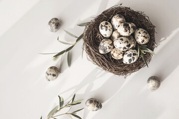 Quail eggs in bird nest on white background with shadow. Happy easter. Rustic style. Copy space. Flat lay, top view. Banner