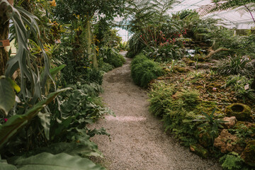 Fern orchid House in QUEEN SIRIKIT BOTANIC GARDEN, Chiangmai