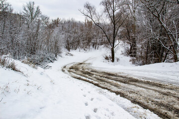 Walking way in the winter nature in city sumy in Ukraine. Winter trees covered with snow and a  dirty road with snow against background