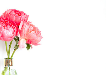 A bouquet of fresh beautiful coral peonies close up on the white background. Copy space