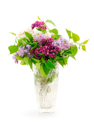 Branches of colorful lilac.