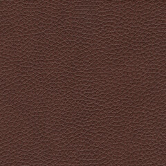 Brown leather texture. Skin pattern background