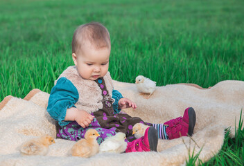 beautiful baby in a colorful dress sitting on the field with little chickens