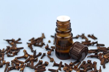Clove essential oil in glass bottle, carnation on blue background 