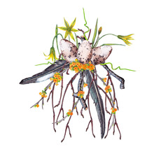 Easter beautiful spring big bouquet of realistic wild bird eggs, blooming orange twigs, yellow flowers, buds and feathers. Watercolor hand painted isolated illustration on white background.