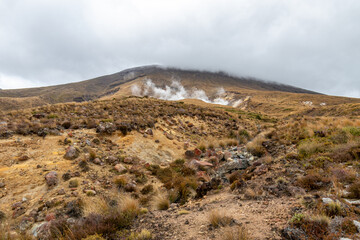 Lande volcanique du parc de Tongariro, Nouvelle Zélande