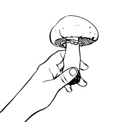 Mushroom champignon. Mushroom in hand. Collecting and harvesting mushrooms. Black and white illustration on a white background.