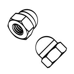 Set of nuts with domed cup on a transparent background. Line drawing. Vector illustration