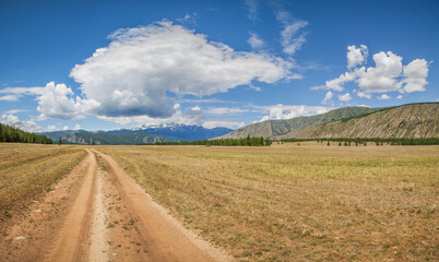 Fototapeta na wymiar Mountain steppe road on a summer day, beautiful cloudy sky