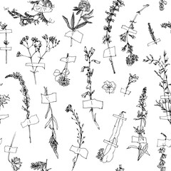 Herbarium. Vector seamless pattern with wild flowers. Vector hand drawn illustration on white background.