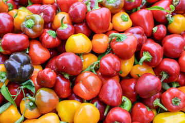 Vegetables in a street market in Union Square, Manhattan, New York City, USA
