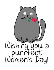Wishing you a purrfect (perfect) Women's Day - Cute gray cat with a red rose, cartoon vector doodle illustration. Funny doodle animal.