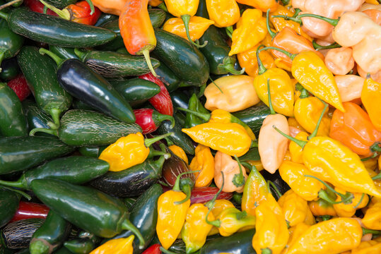 Different kinds of vegetables in a street market in Union Square, Manhattan, New York City, NY, USA.