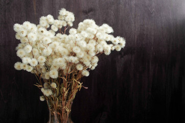 fluffy dried flowers