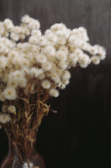 fluffy dried flowers