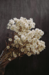 fluffy dried flowers