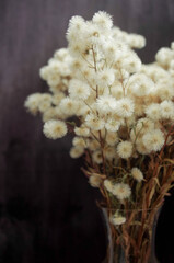fluffy dried flowers