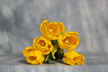 Five yellow tulips on a table