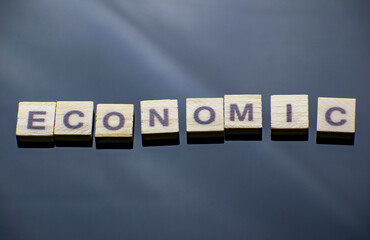 The inscription Economic on a mirrored dark background with a shopping cart.