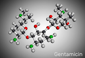 Gentamicin molecule. It is broad-spectrum aminoglycoside antibiotic. Molecular model. 3D rendering