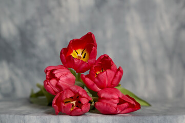 Five red tulips on a table