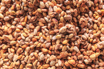 Fresh cocoa beans and Fresh cocoa seed in a bucket to make chocolate