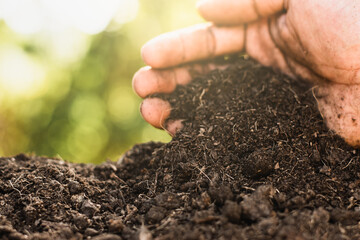 The soil is rich in minerals, suitable for cultivation in the hands of men, farmers. - obrazy, fototapety, plakaty