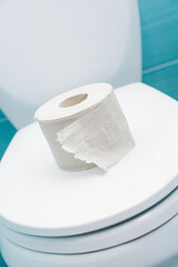 torn roll of toilet paper lies on closed lid of toilet bowl