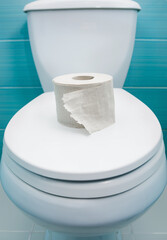 torn roll of toilet paper lies on closed lid of toilet bowl