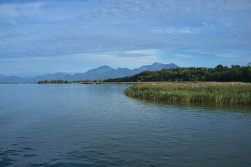 Blick über den Chiemsee und über Schilfgras in Richtung der Alpen bei bewölktem Himmel