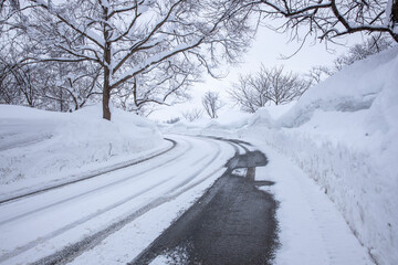 Fototapeta premium 雪道のカーブ