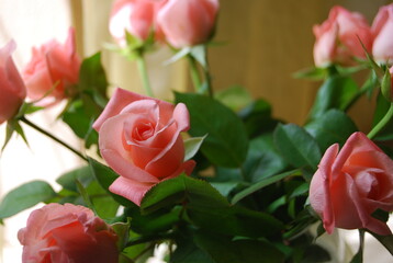 pink roses in a cute bouquet