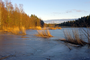 A lake in a forest covered with ice with trees illuminated with gold light in winter sunset (East Finland)