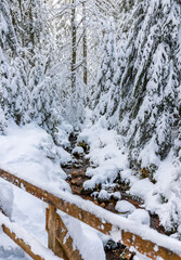 small river and snow covered trees in the mountains