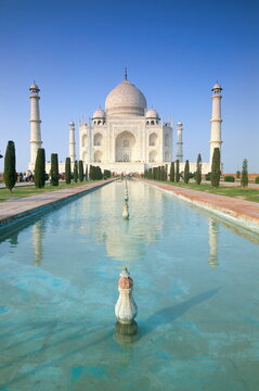The Taj Mahal, UNESCO World Heritage Site, Agra, Uttar Pradesh state, India, Asia