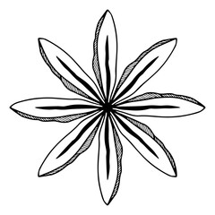 star anise, animon star, linear, black and white drawing, vector