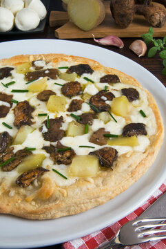 Ceps or Porcini Mushroom pizza (Boletus edulis), Italy, Europe