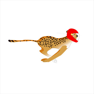 Funny running cheetah in red racer helmet animal illustration