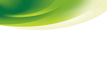 Abstract Smooth Green Curvy Background Design Template Vector, Professional Fresh Green Mesh Gradient Element with Copy Space for Text